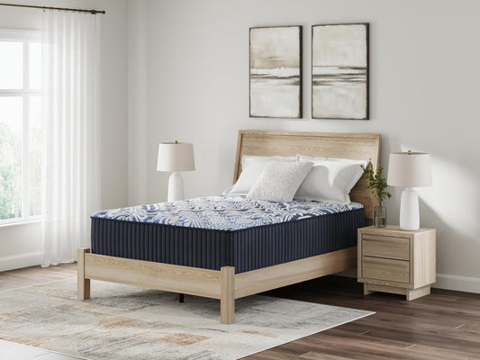 Simmons Beautysleep Series Areca Palm Plush Eurotop Mattress Set