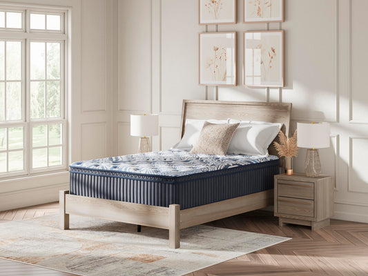 Simmons Beautysleep Series Areca Palm Plush Eurotop Mattress Set
